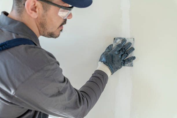 Best Fire-Damaged Drywall Repair  in Benton, KY